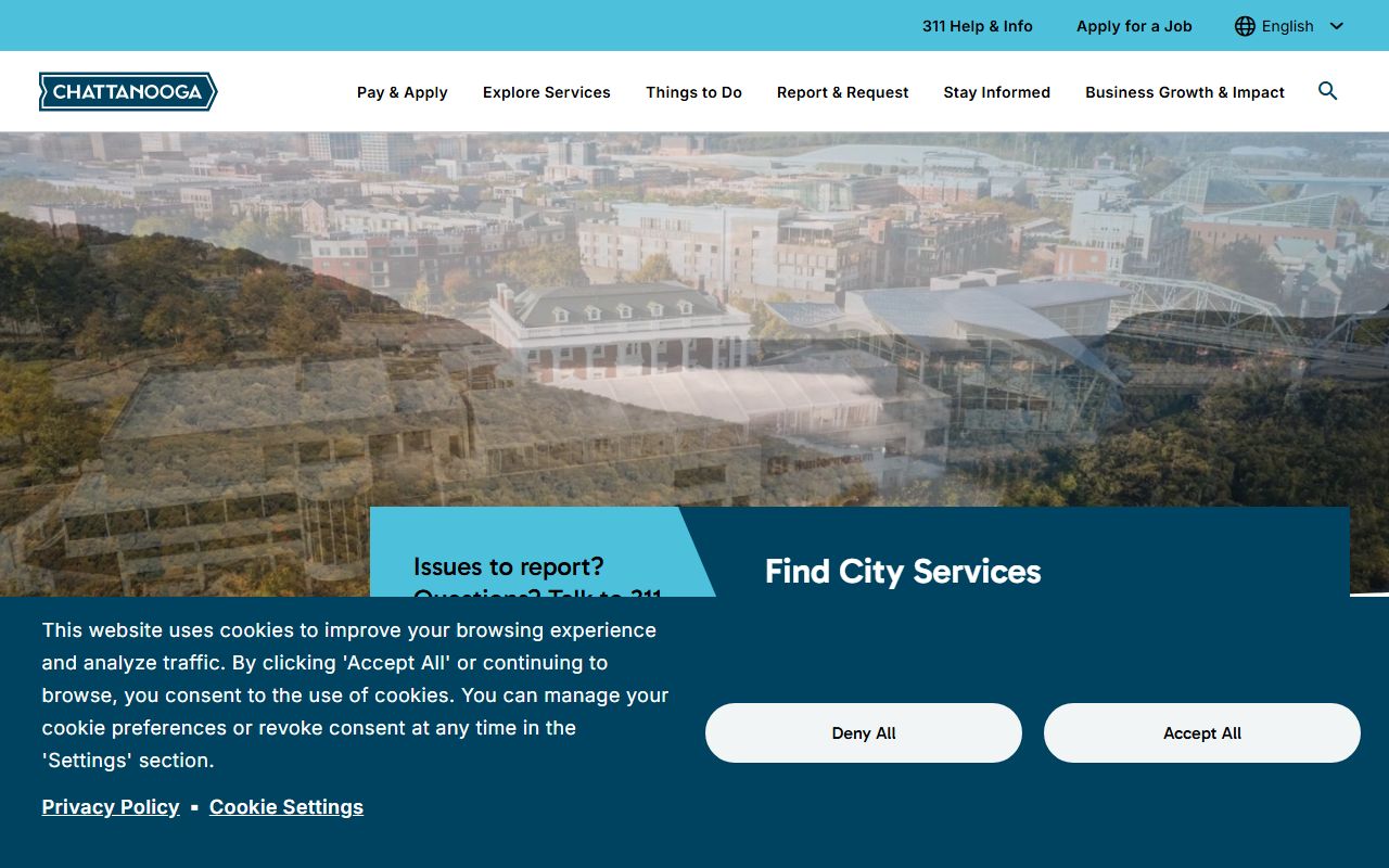 Chattanooga city government birth records reference page